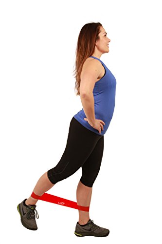 Fit Simplify Resistance Loop Exercise Bands Set of 5 with Instruction  Guide, Carry Bag, eBook and Online Workout Videos